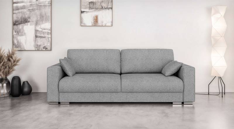 INOSIGN 3-Sitzer »Stevinson Schlafsofa mit Bettkasten, Masse B/H/T: 229/87/97 cm«, mit Wellenunterfederung, 2 Rückenkissen und 2 Zierkissen von INOSIGN