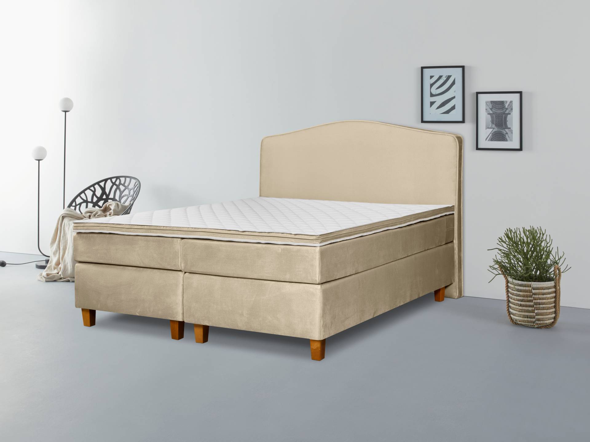 INOSIGN Boxspringbett »Jalma«, Füsse aus massiver Birke ; Inkl. Topper INOSIGN Boxspringbett »Jalma«, Füsse aus massiver Birke ; Inkl. Topper von INOSIGN
