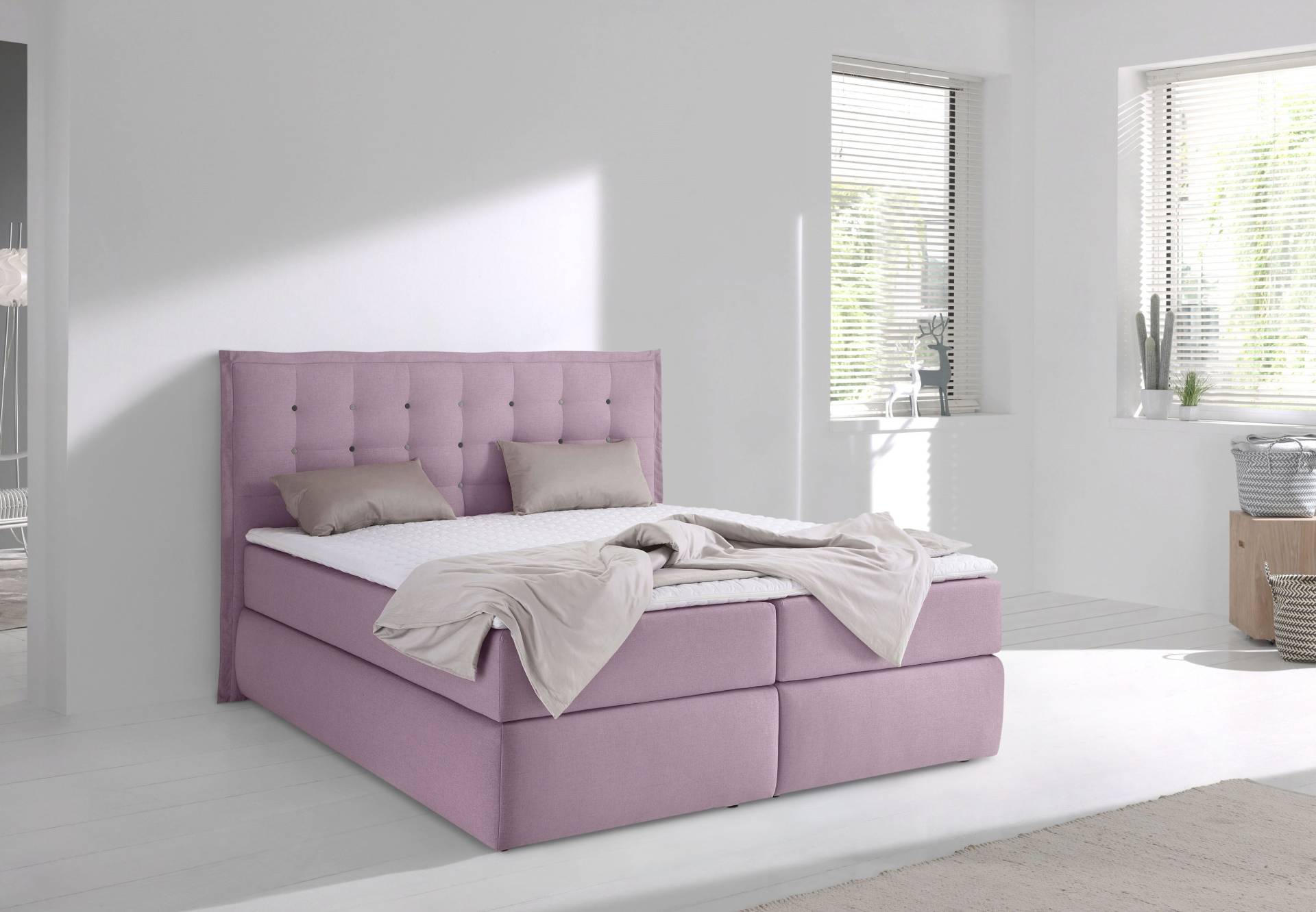 INOSIGN Boxspringbett »Sagres«, Kopfteil mit 2farbiger Flatterbiese und zweifarbigen Knöpfen INOSIGN Boxspringbett »Sagres«, Kopfteil mit 2farbiger Flatterbiese und zweifarbigen Knöpfen von INOSIGN