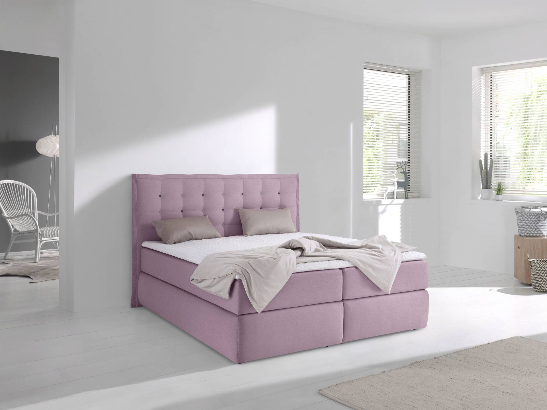 INOSIGN Boxspringbett »Sagres«, Kopfteil mit 2farbiger Flatterbiese und zweifarbigen Knöpfen INOSIGN Boxspringbett »Sagres«, Kopfteil mit 2farbiger Flatterbiese und zweifarbigen Knöpfen von INOSIGN