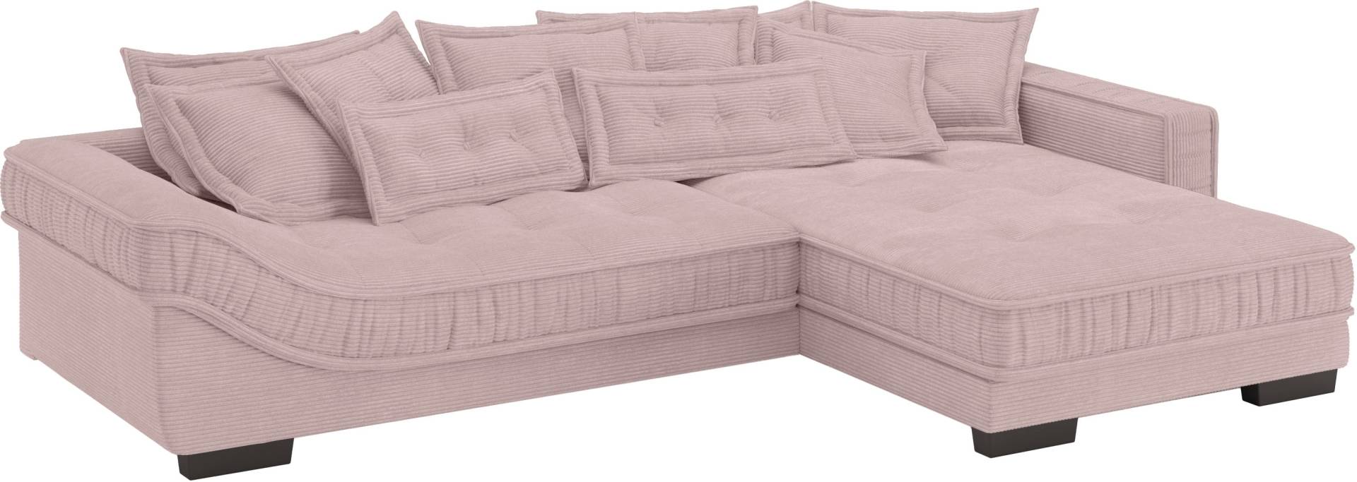 Mr. Couch Ecksofa »Diwan II DuraFlex L-Form«, DuraFlex-Kaltschaumpolsterung, bis 140 kg, 4 Bezugsqualitäten Mr. Couch Ecksofa »Diwan II DuraFlex L-Form«, DuraFlex-Kaltschaumpolsterung, bis 140 kg, 4 Bezugsqualitäten von Mr. Couch