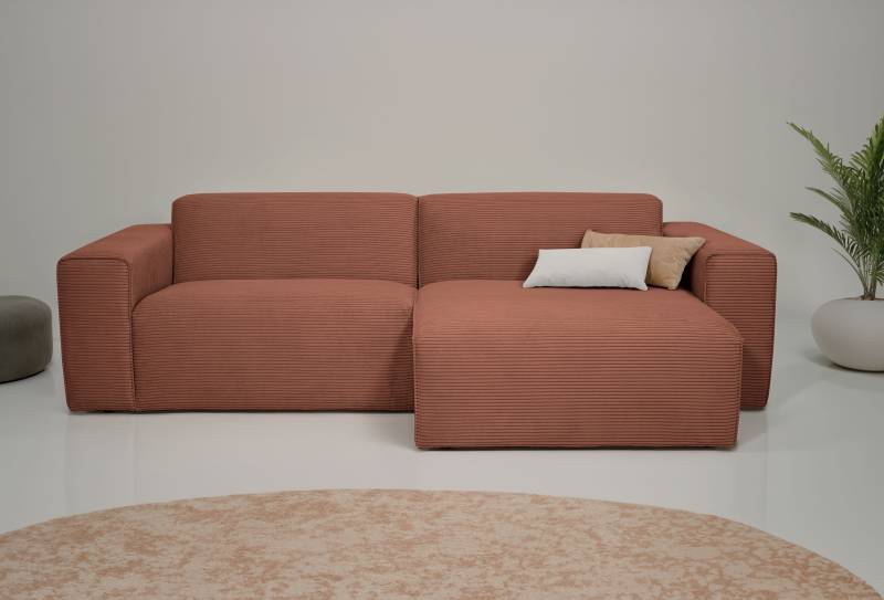 INOSIGN Ecksofa »Koa,228cm, L-Form, Modulsofa, Webstoff, Cord«, Designsofa in Cord, weicher Lounge-Sitzkomfort von INOSIGN