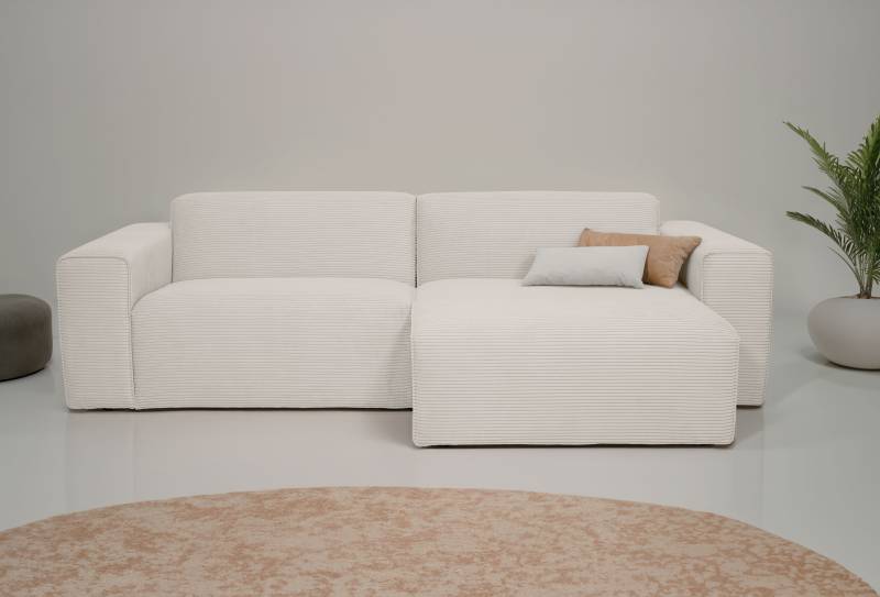 INOSIGN Ecksofa »Koa,228cm, L-Form, Modulsofa, Webstoff, Cord«, Designsofa in Cord, weicher Lounge-Sitzkomfort von INOSIGN