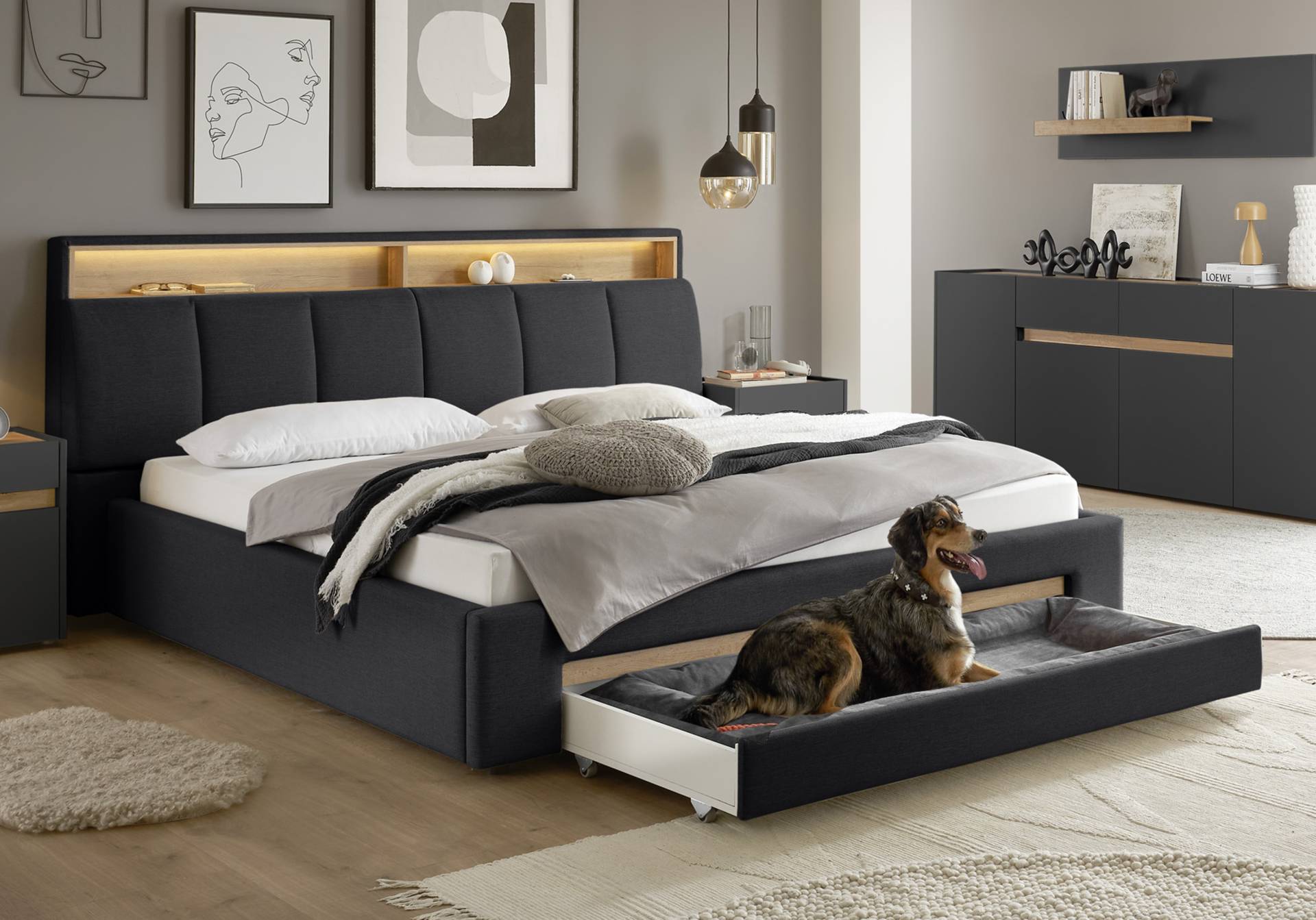 INOSIGN Polsterbett »CiTY/GiRON, gepolstertes Stauraumbett, mit LED Beleuchtung«, Bettkasten mit Hundebett oder als Stauraum, klappbare Kopfteile INOSIGN Polsterbett »CiTY/GiRON, gepolstertes Stauraumbett, mit LED Beleuchtung«, Bettkasten mit Hundebett oder als Stauraum, klappbare Kopfteile von INOSIGN