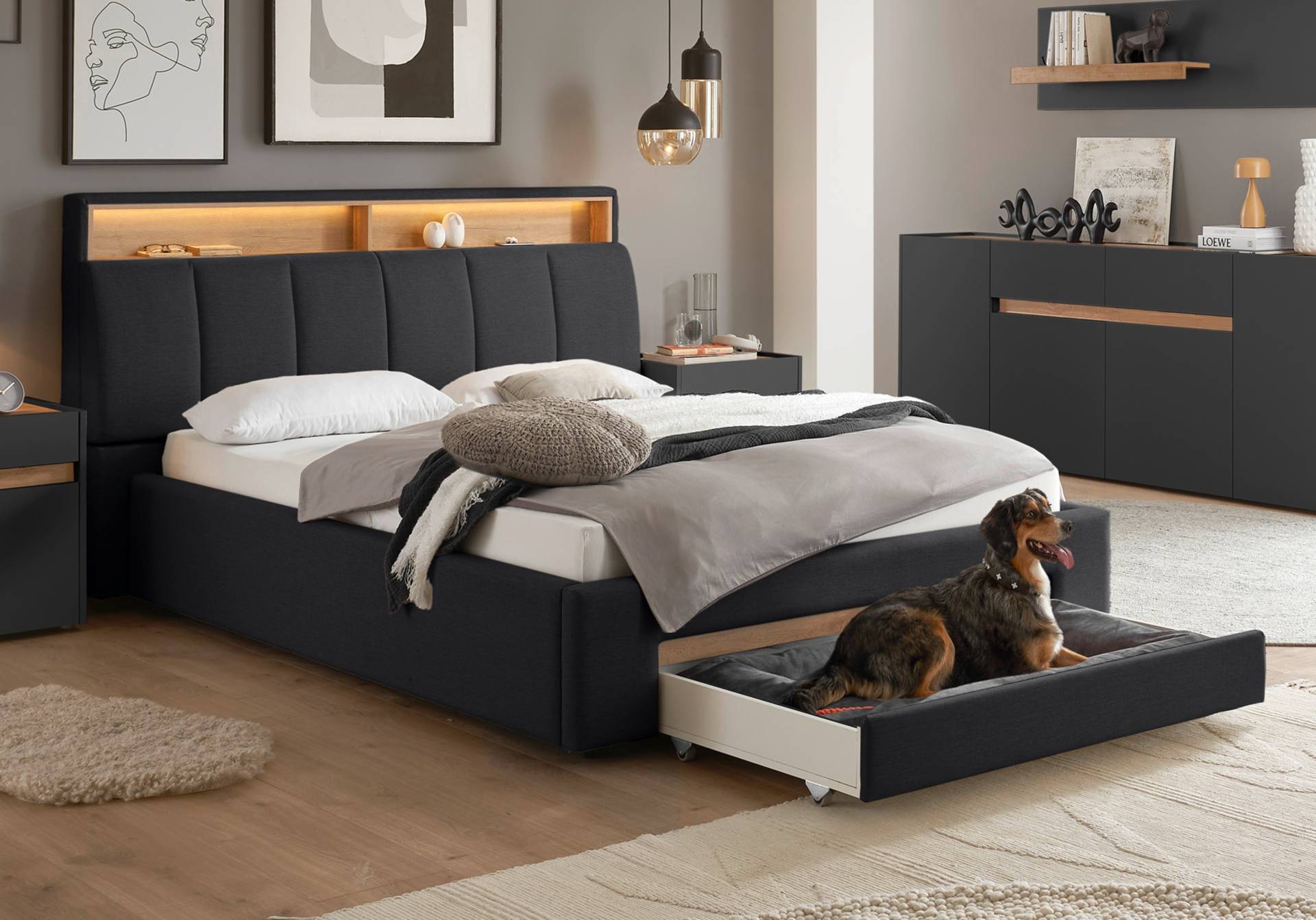 INOSIGN Polsterbett »CiTY/GiRON, gepolstertes Stauraumbett, mit LED Beleuchtung«, Bettkasten mit Hundebett oder als Stauraum, klappbare Kopfteile INOSIGN Polsterbett »CiTY/GiRON, gepolstertes Stauraumbett, mit LED Beleuchtung«, Bettkasten mit Hundebett oder als Stauraum, klappbare Kopfteile von INOSIGN