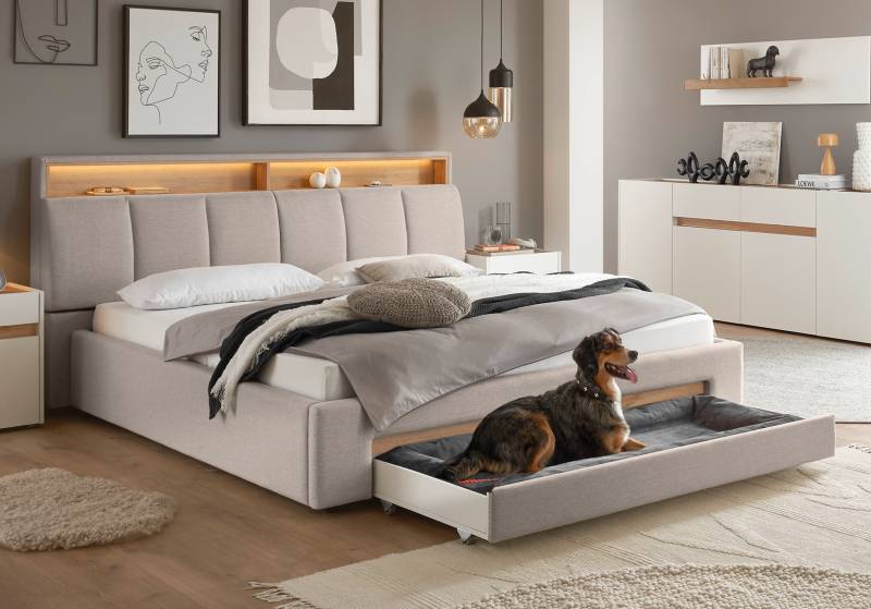 INOSIGN Polsterbett »CiTY/GiRON, gepolstertes Stauraumbett, mit LED Beleuchtung«, Bettkasten mit Hundebett oder als Stauraum, klappbare Kopfteile von INOSIGN