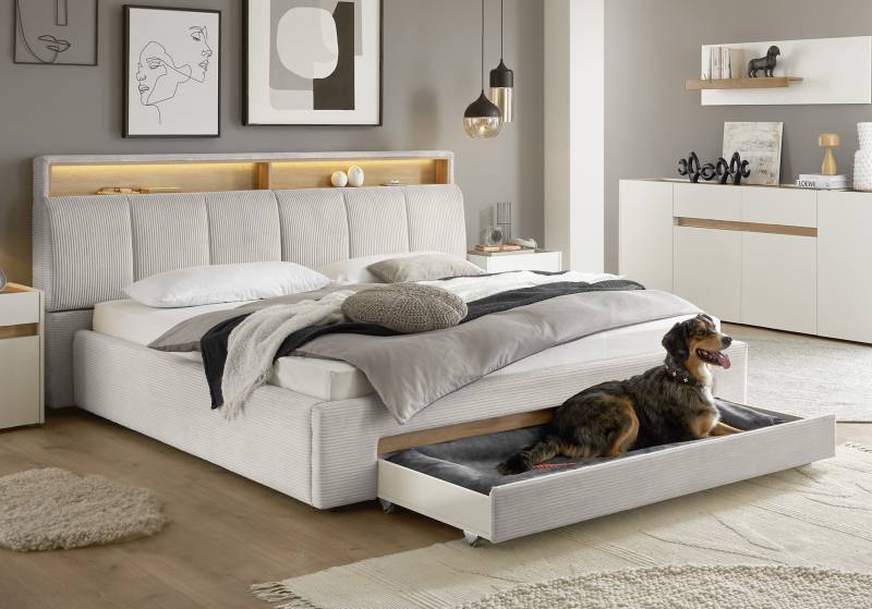 INOSIGN Polsterbett »CiTY/GiRON, gepolstertes Stauraumbett, mit LED Beleuchtung«, Bettkasten mit Hundebett oder als Stauraum, klappbare Kopfteile von INOSIGN