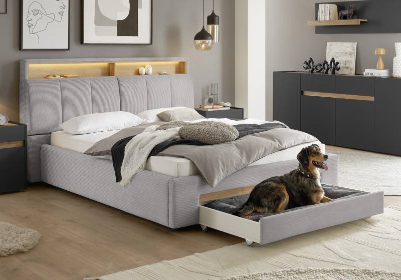 INOSIGN Polsterbett »CiTY/GiRON, gepolstertes Stauraumbett, mit LED Beleuchtung«, Bettkasten mit Hundebett oder als Stauraum, klappbare Kopfteile von INOSIGN