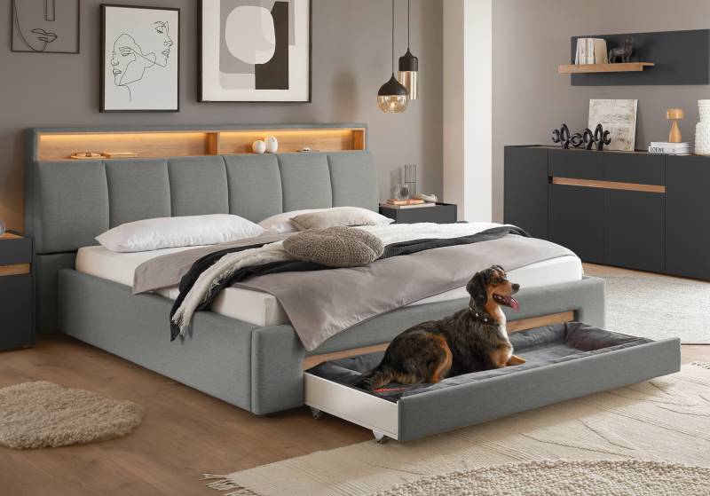 INOSIGN Polsterbett »CiTY/GiRON, gepolstertes Stauraumbett, mit LED Beleuchtung«, Bettkasten mit Hundebett oder als Stauraum, klappbare Kopfteile von INOSIGN