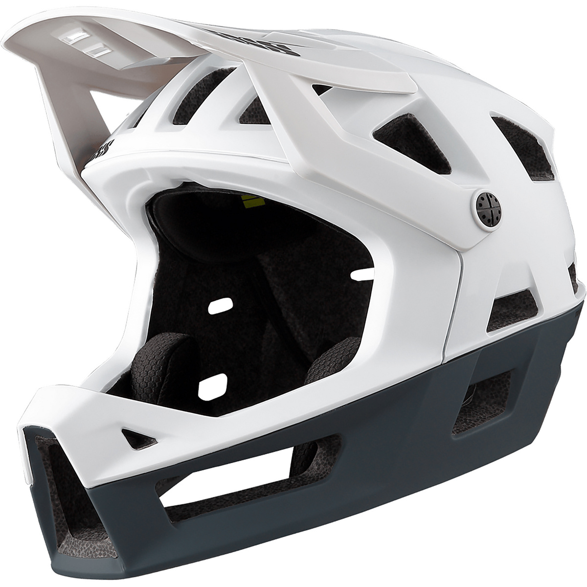 IXS Trigger FF Fahrradhelm von IXS