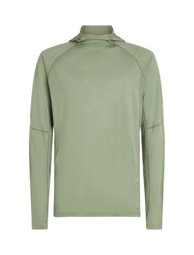 Icebreaker M 150 MerinoFine Ace LS Hoodie - lichen (Grösse: L) von Icebreaker