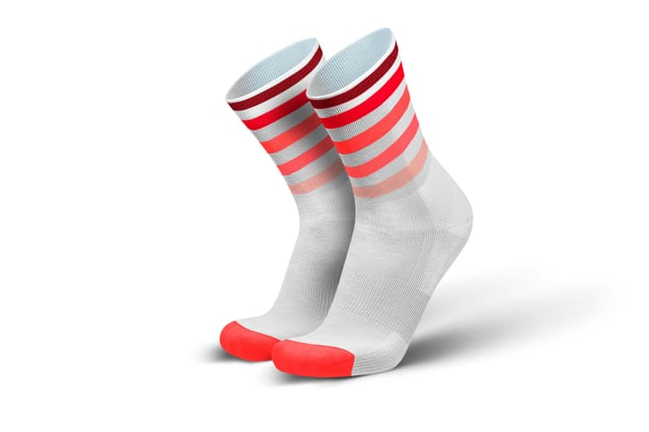 Incylence Running Long Levels Socken rot von Incylence