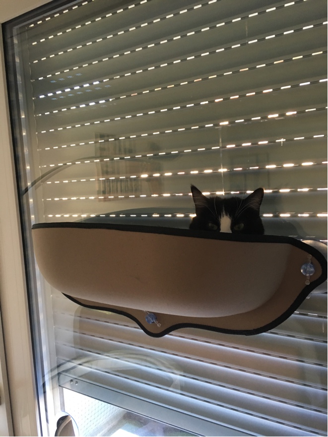 Katzenmatte Hängematte Katzen Relaxe für Fenster extra Stabil XXL von Innovation