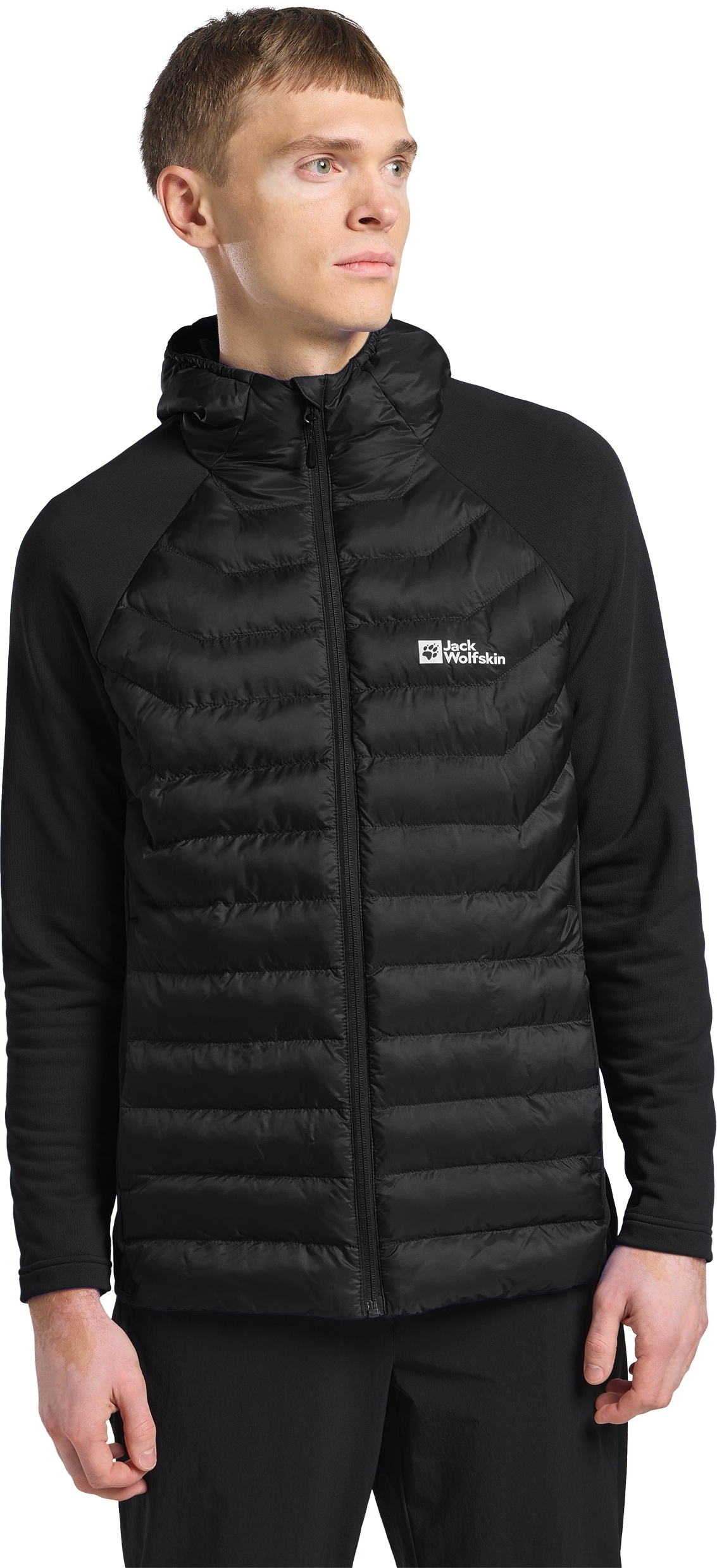 Jack Wolfskin Steppjacke »ROUTEBURN PRO HYBRID M«, mit Kapuze von Jack Wolfskin