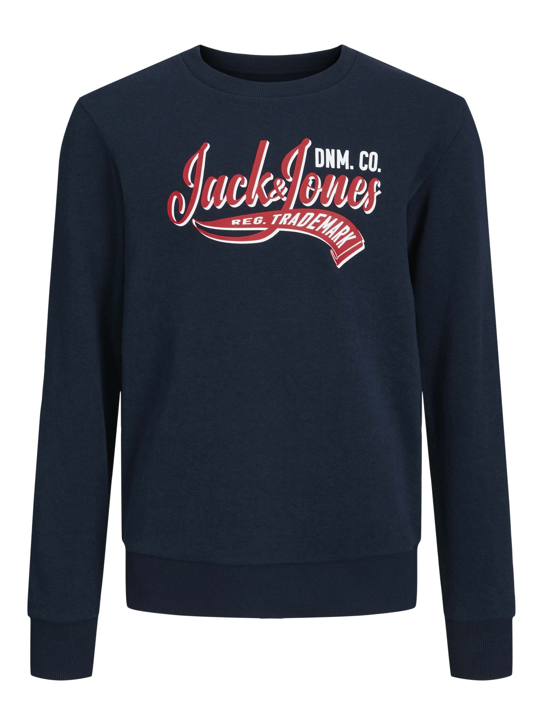 Jack & Jones Junior Sweatshirt »JJELOGO SWEAT CREW NECK 2 COL SS24 JNR« von Jack & Jones Junior