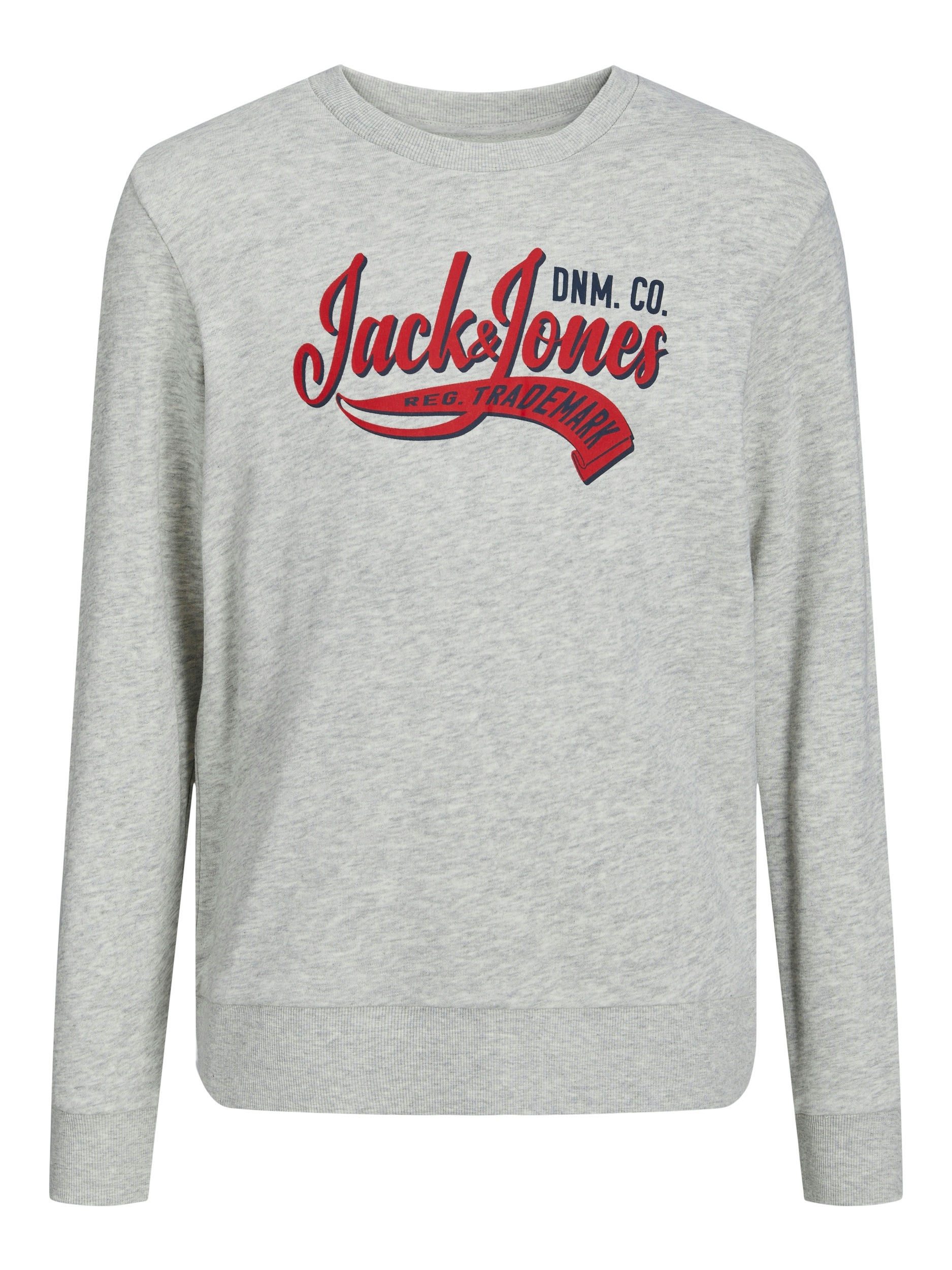 Jack & Jones Junior Sweatshirt »JJELOGO SWEAT CREW NECK 2 COL SS24 JNR« von Jack & Jones Junior