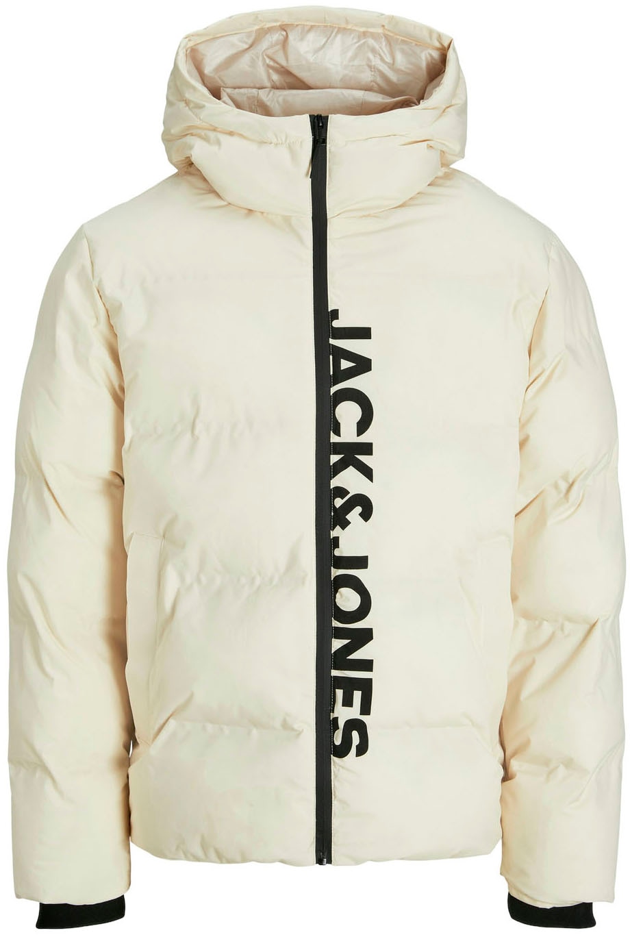 Jack & Jones Steppjacke »JJPAYNE PUFFER JACKET«, mit Kapuze von Jack & Jones