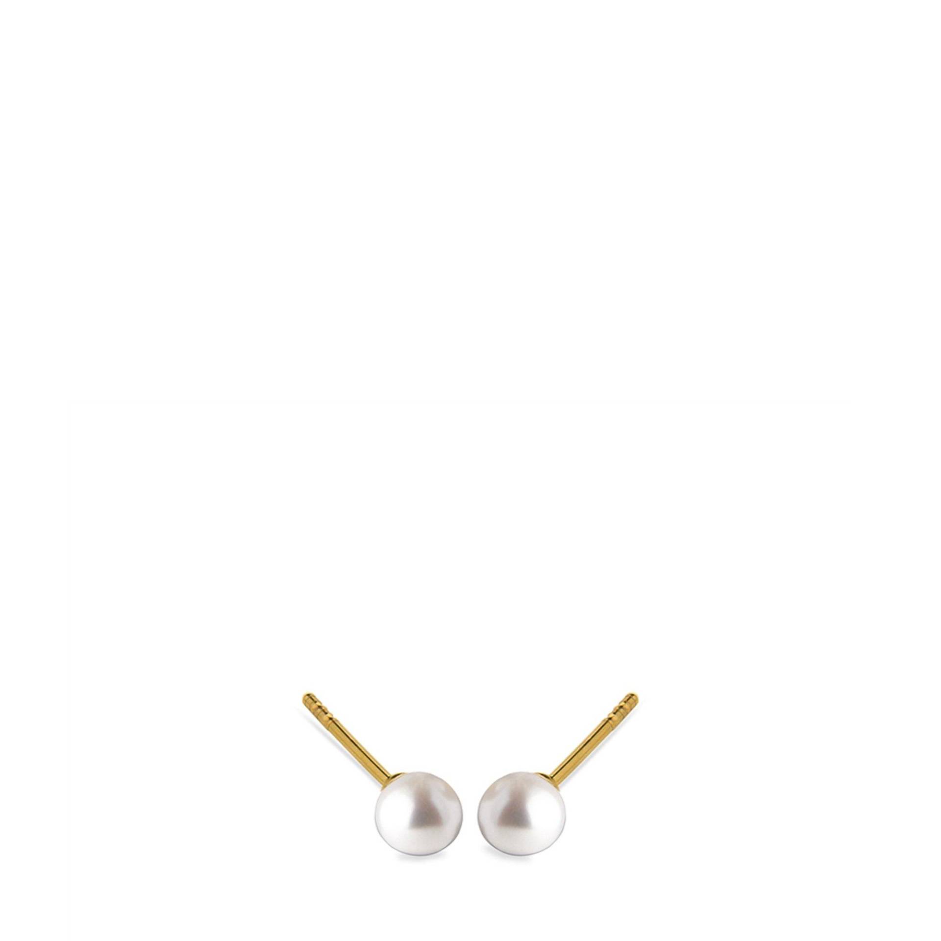 Ohrstecker Damen Gold 5.5MM von Jeberg Jewellery