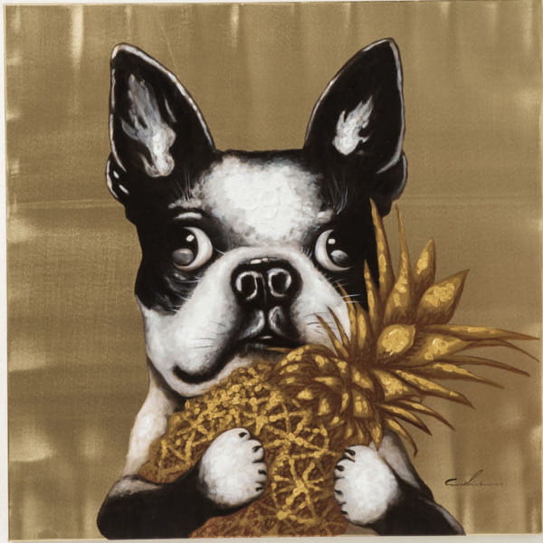 Bild Touched Dog with Pineapple 80x80cm von KARE DESIGN