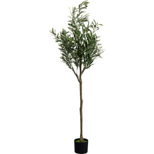 Deko Pflanze Olive Tree 150 von KARE DESIGN