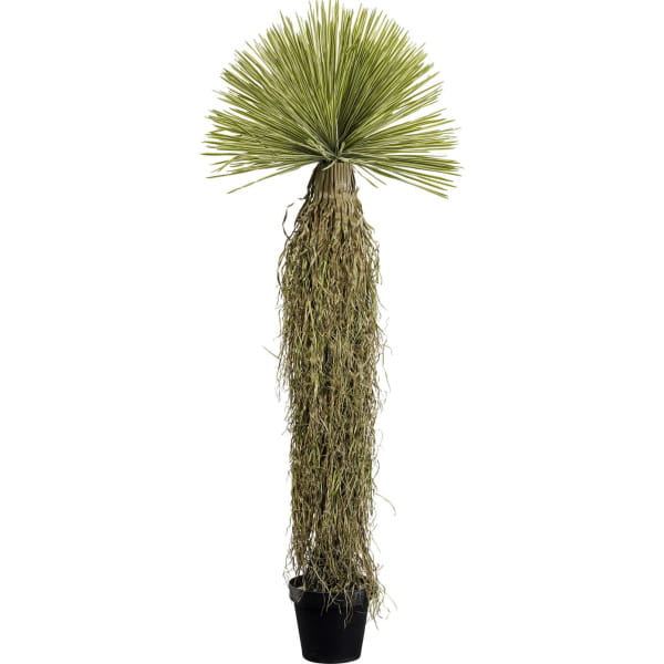 Deko Pflanze Yucca Rostrata 180 von KARE DESIGN