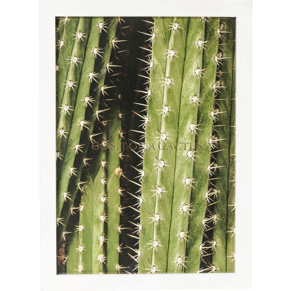 Bild Frame Kaktus 45x33cm von KARE DESIGN