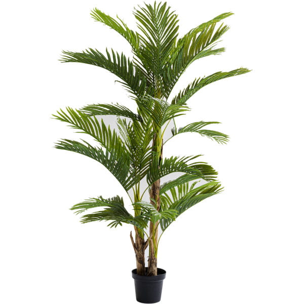 Deko Pflanze Palm Tree 190cm von KARE DESIGN