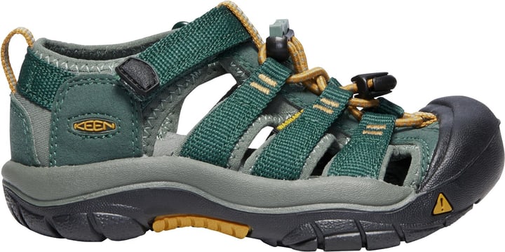 Keen Newport H2 Sandalen grün von Keen