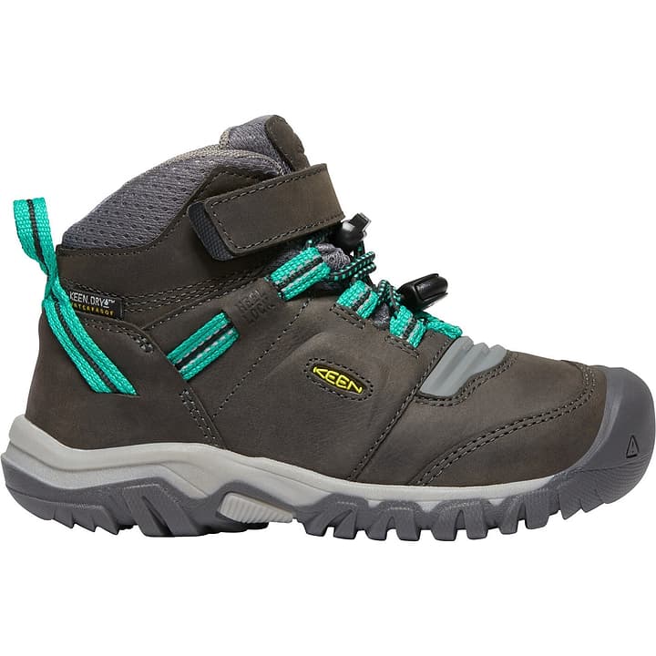 Keen Ridge Flex Mid WP Wanderschuhe grün von Keen