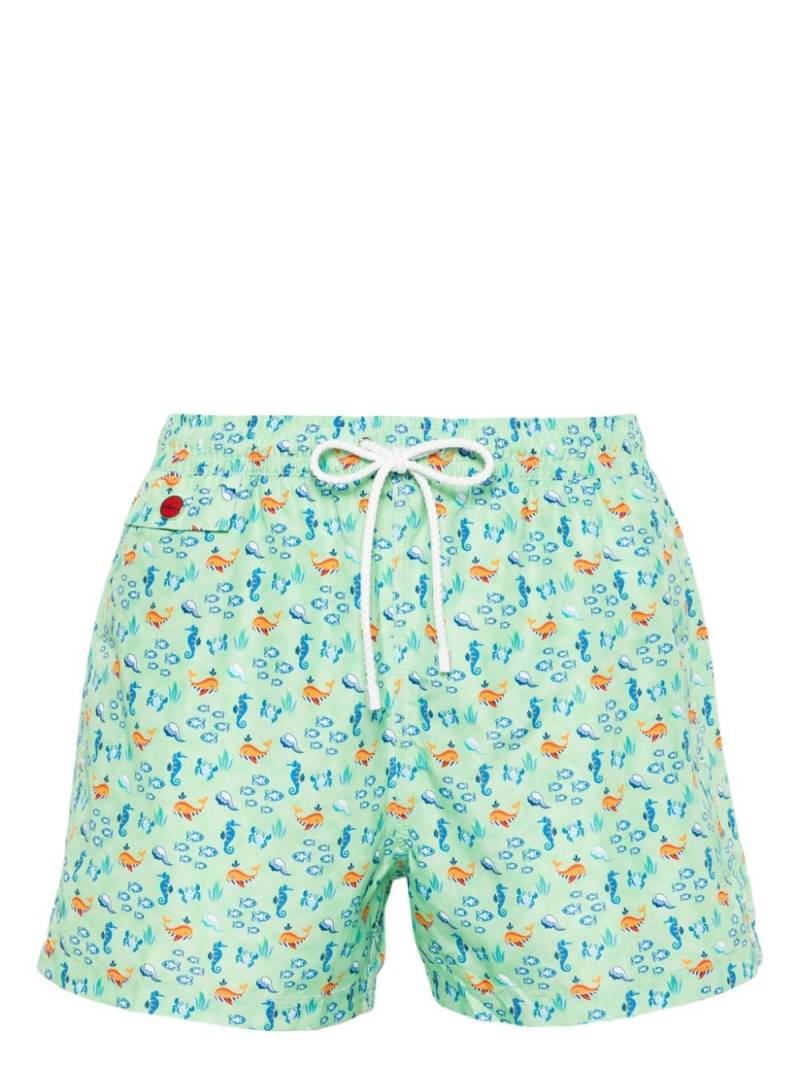 Kiton graphic-print swim shorts - Green von Kiton