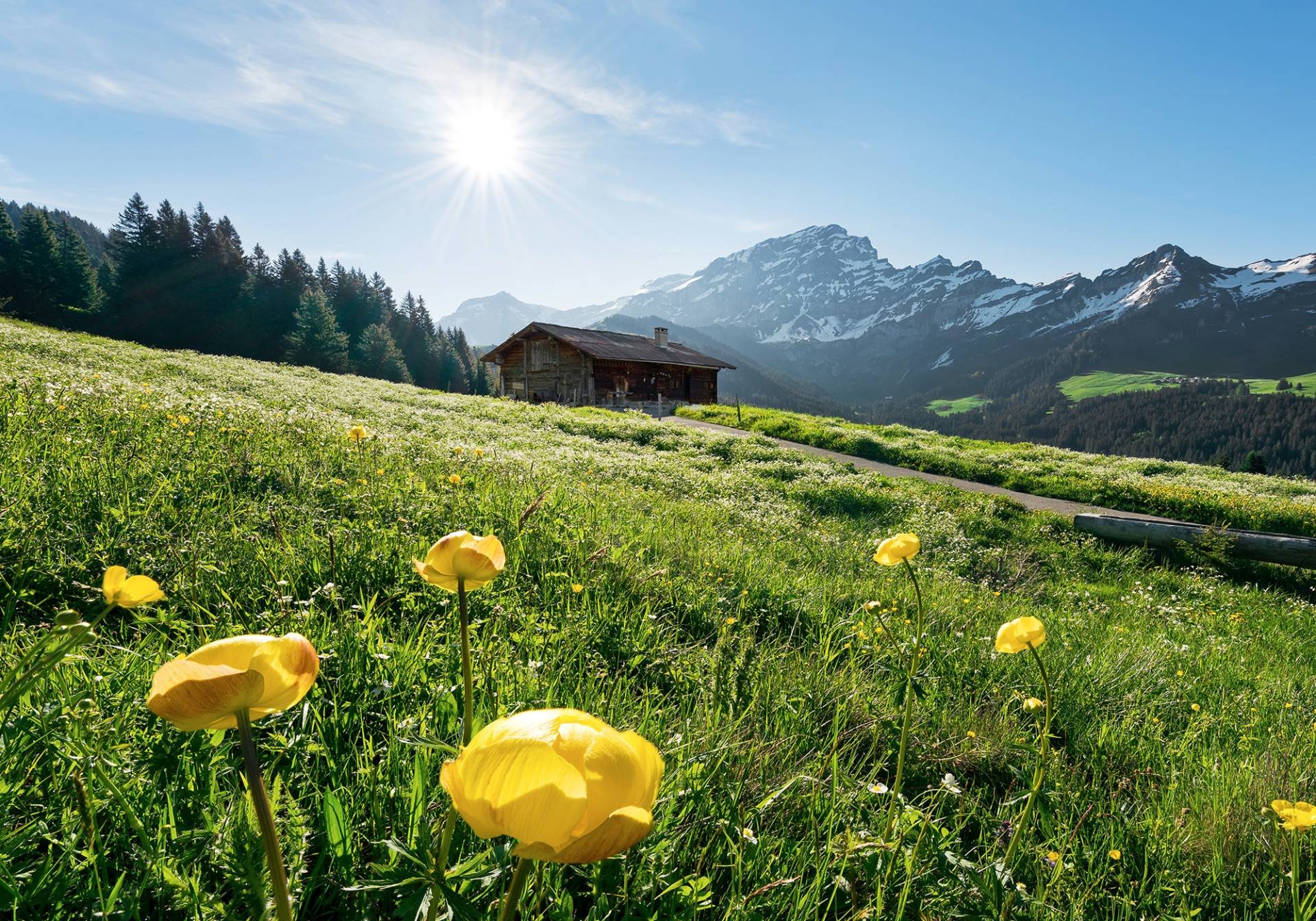 Komar Vliestapete »Alpenglück« von Komar