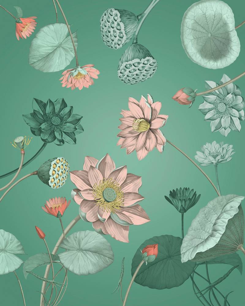 Komar Vliestapete »Digitaldruck Vlies - Blissful - Grösse 200 x 250 cm«, bedruckt, Wohnzimmer, Schlafzimmer von Komar