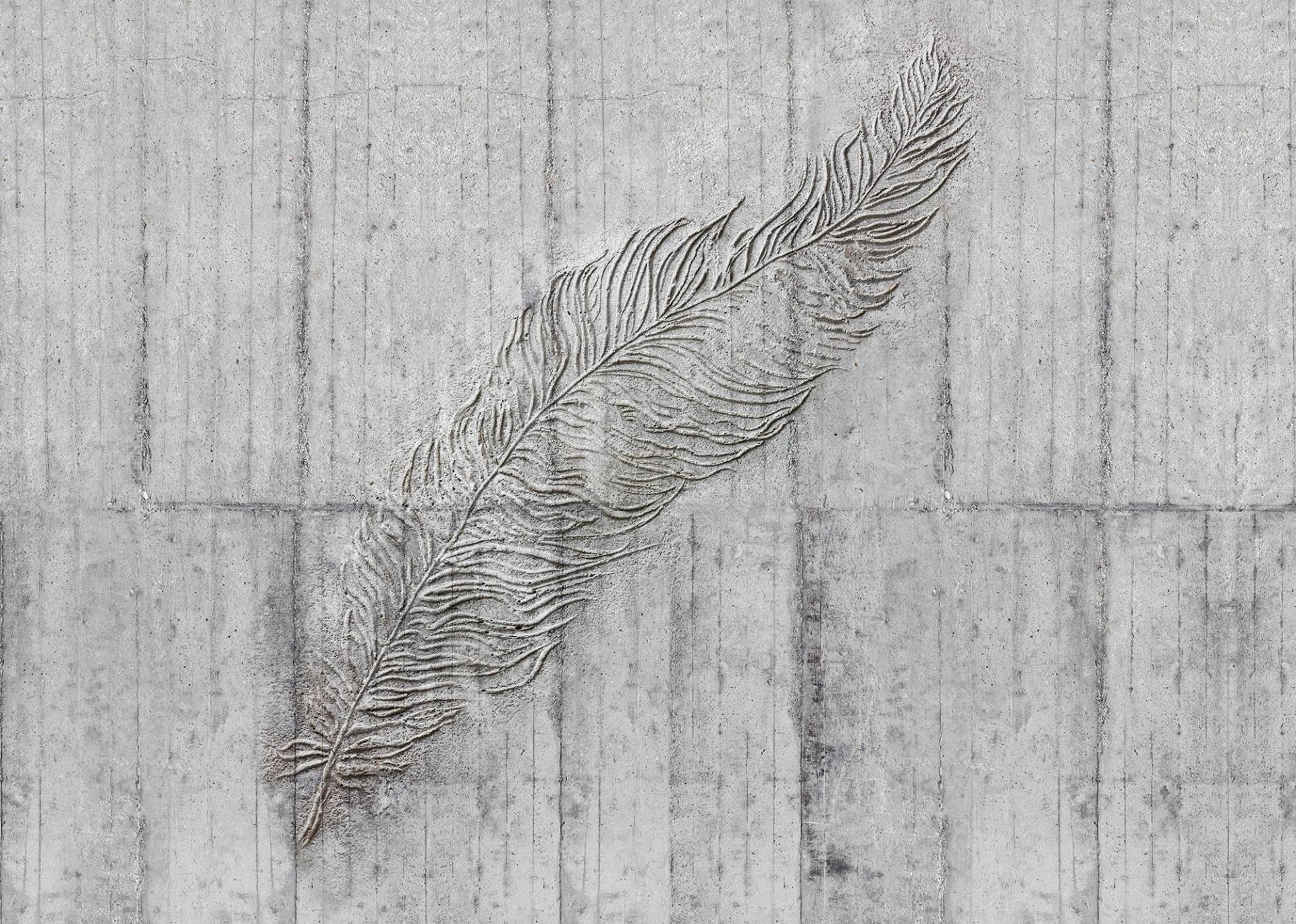 Komar Vliestapete »Concrete Feather« von Komar