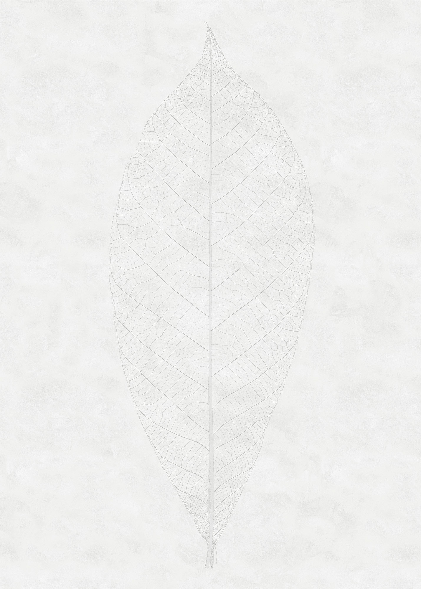 Komar Vliestapete »Decent Leaf« von Komar