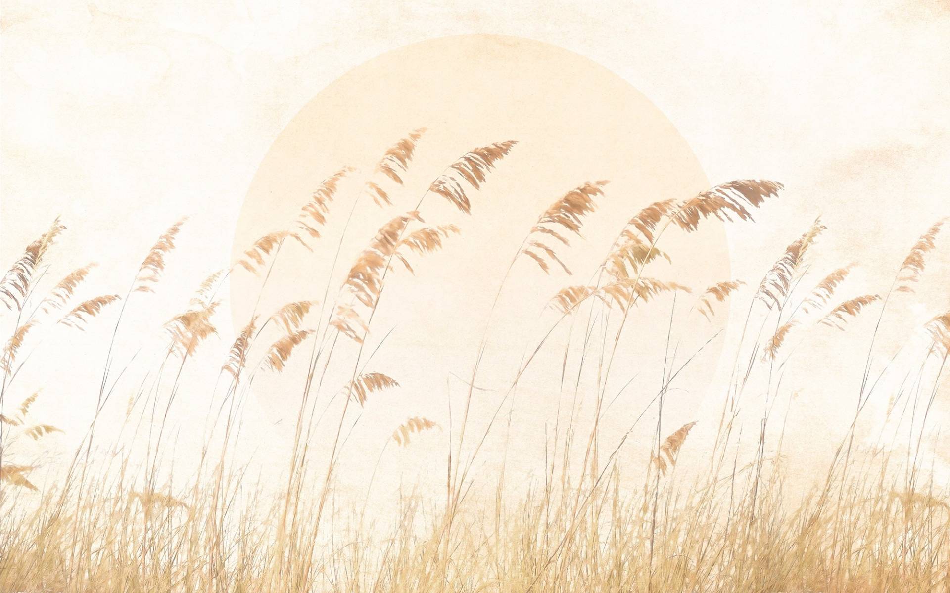Komar Vliestapete »Dune Grass« von Komar
