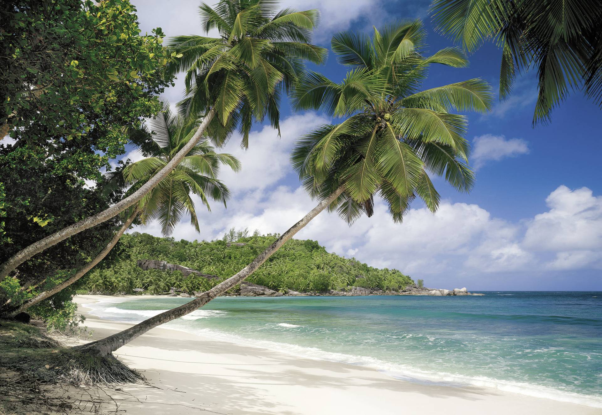 Komar Fototapete »Seychellen« von Komar