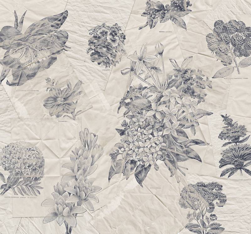 Komar Fototapete »Digitaldruck Vlies - Botanical Papers - Grösse 300 x 280 cm«, bedruckt, Vlies Fototapete - Botanical Papers - Grösse 300 x 280 cm von Komar