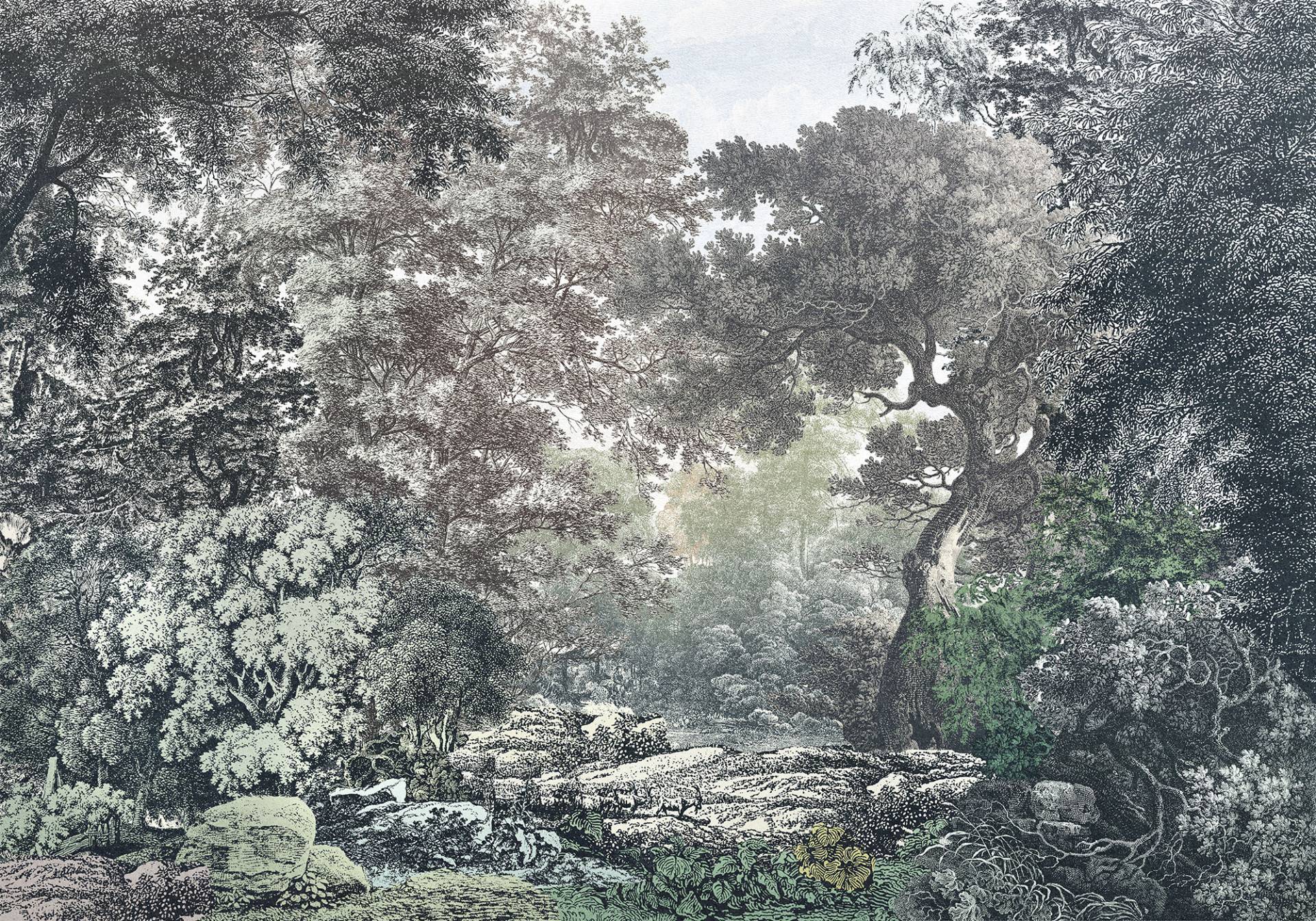 Komar Vliestapete »Fairytale Forest« von Komar
