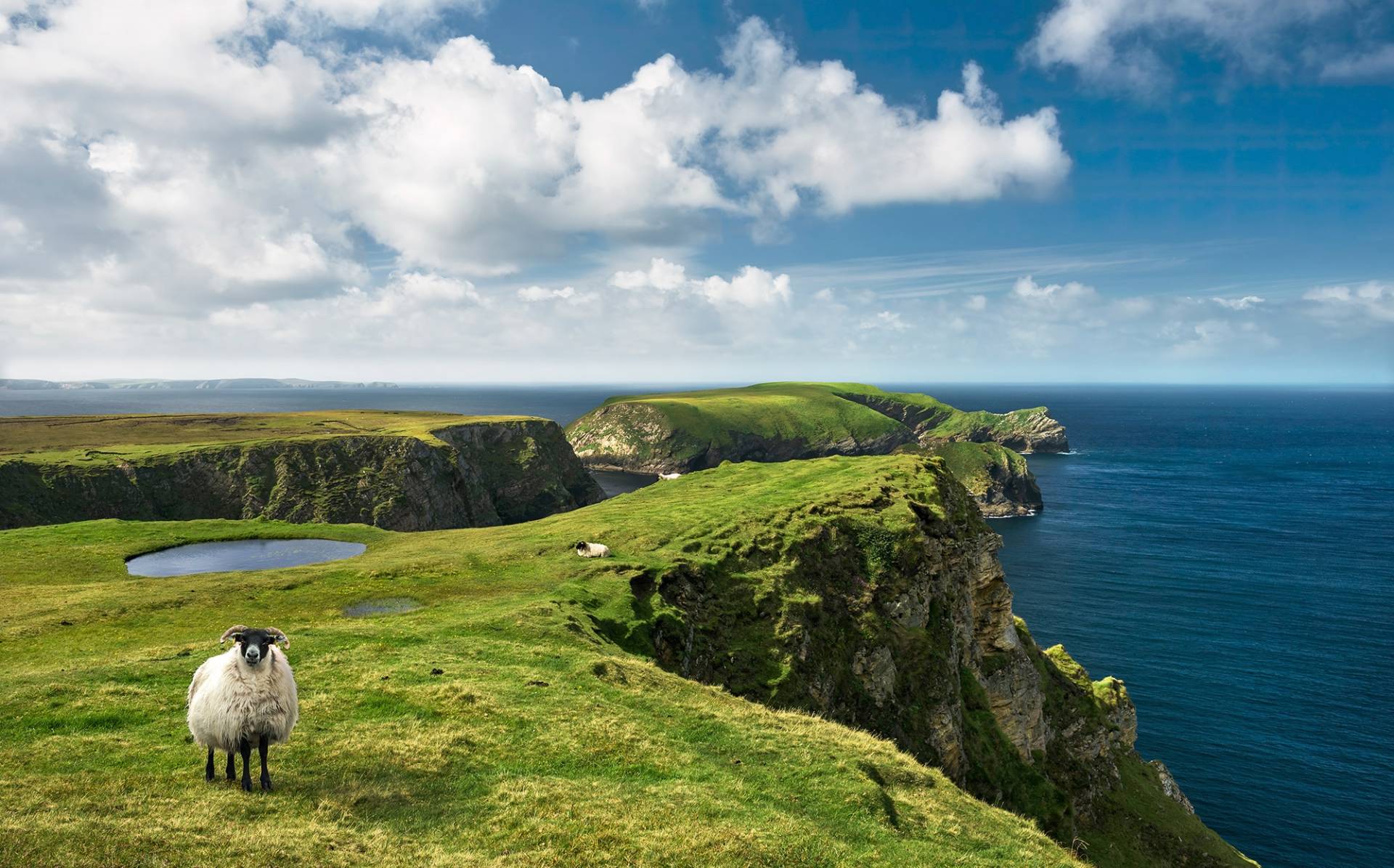 Komar Vliestapete »Green Ireland« von Komar