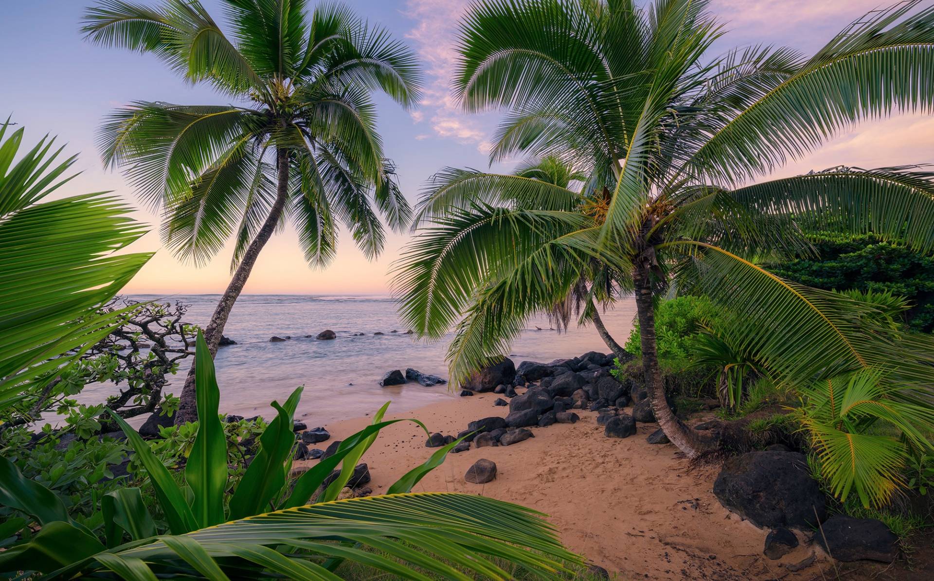 Komar Vliestapete »Hawaiian Dreams« von Komar