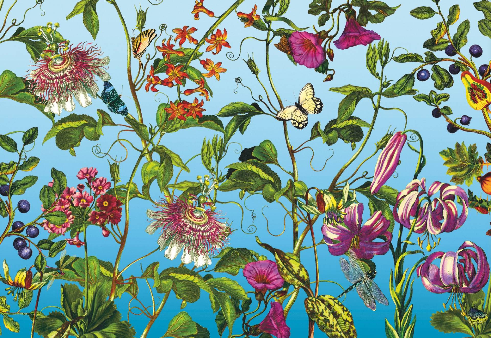 Komar Vliestapete »Vlies - Jardin - Grösse 368 x 248 cm«, bedruckt, Wohnzimmer, Schlafzimmer Komar Vliestapete »Vlies - Jardin - Grösse 368 x 248 cm«, bedruckt, Wohnzimmer, Schlafzimmer von Komar