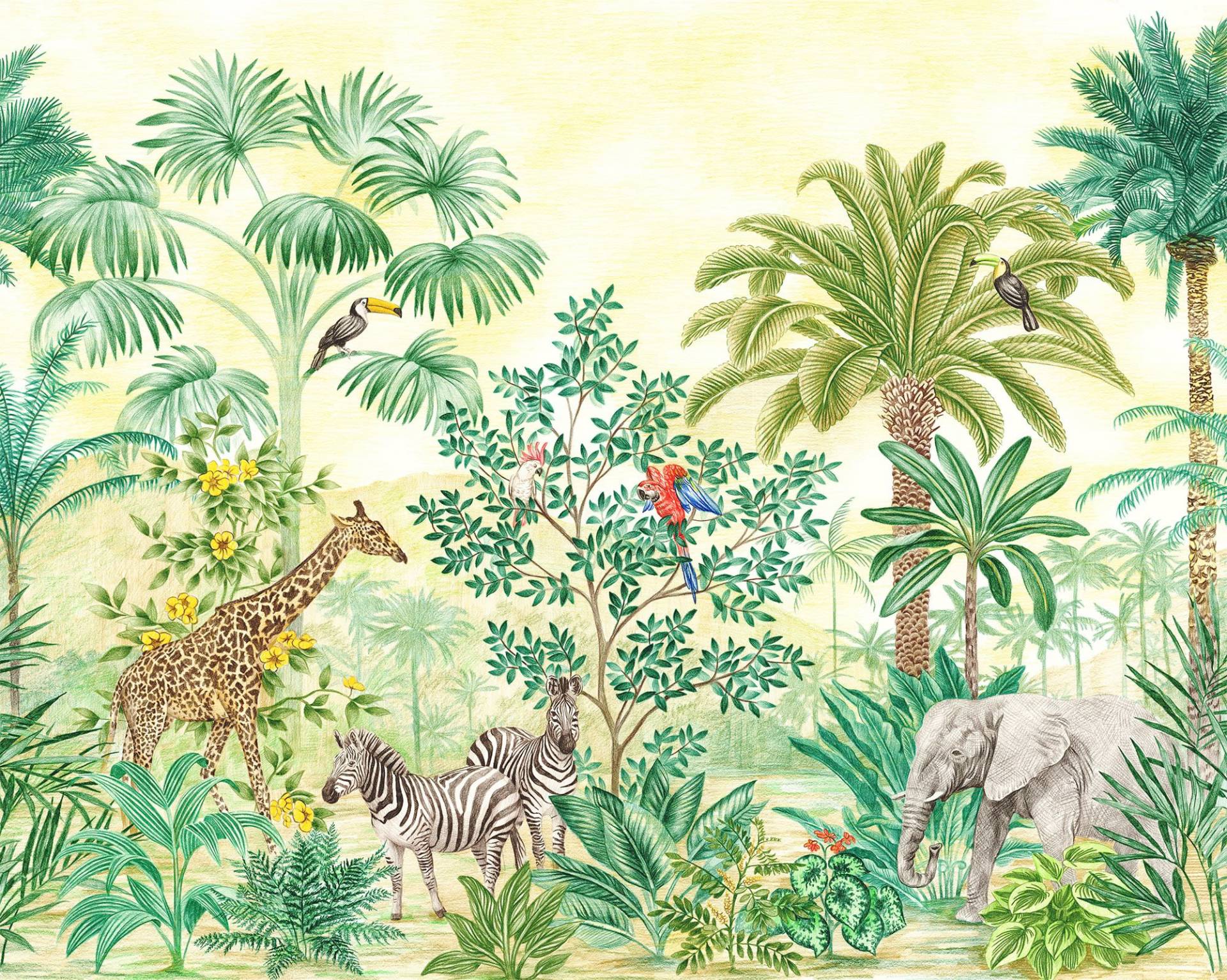 Komar Vliestapete »Digitaldruck Vlies - Jungle Adventure - Grösse 350 x 280 cm«, bedruckt, Kinderzimmer Komar Vliestapete »Digitaldruck Vlies - Jungle Adventure - Grösse 350 x 280 cm«, bedruckt, Kinderzimmer von Komar