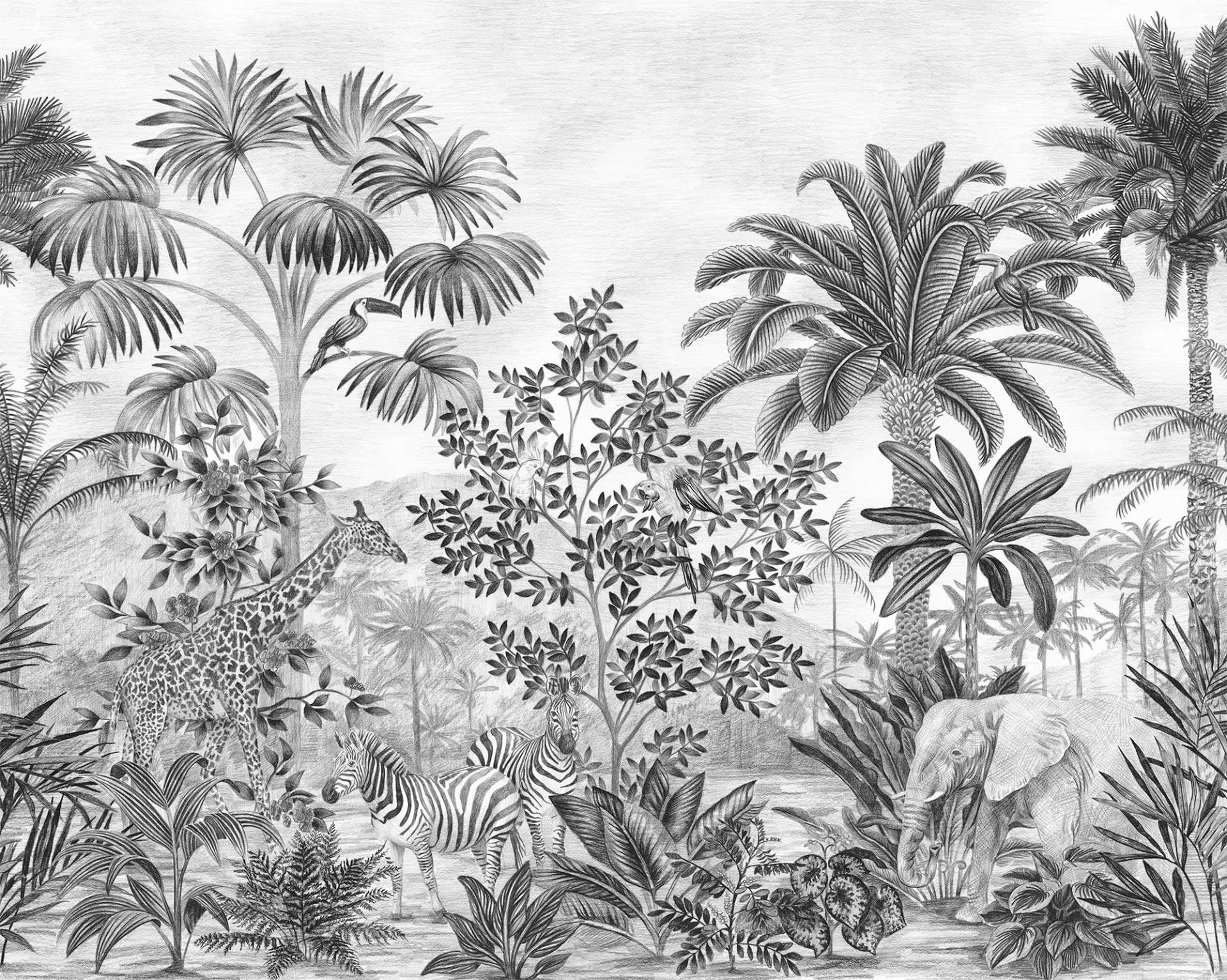 Komar Vliestapete »Jungle Evolution« von Komar