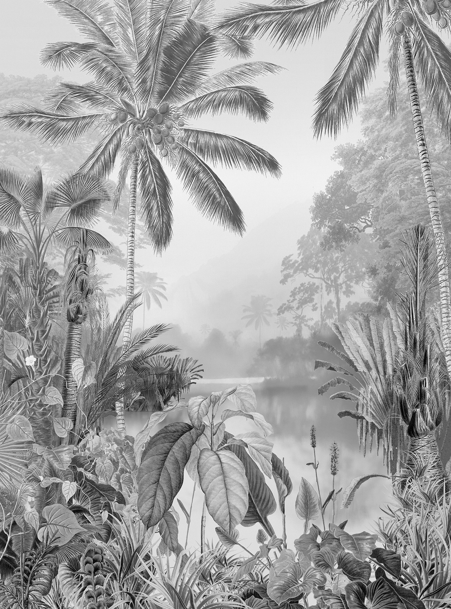 Komar Vliestapete »Lac Tropical Black & White« von Komar