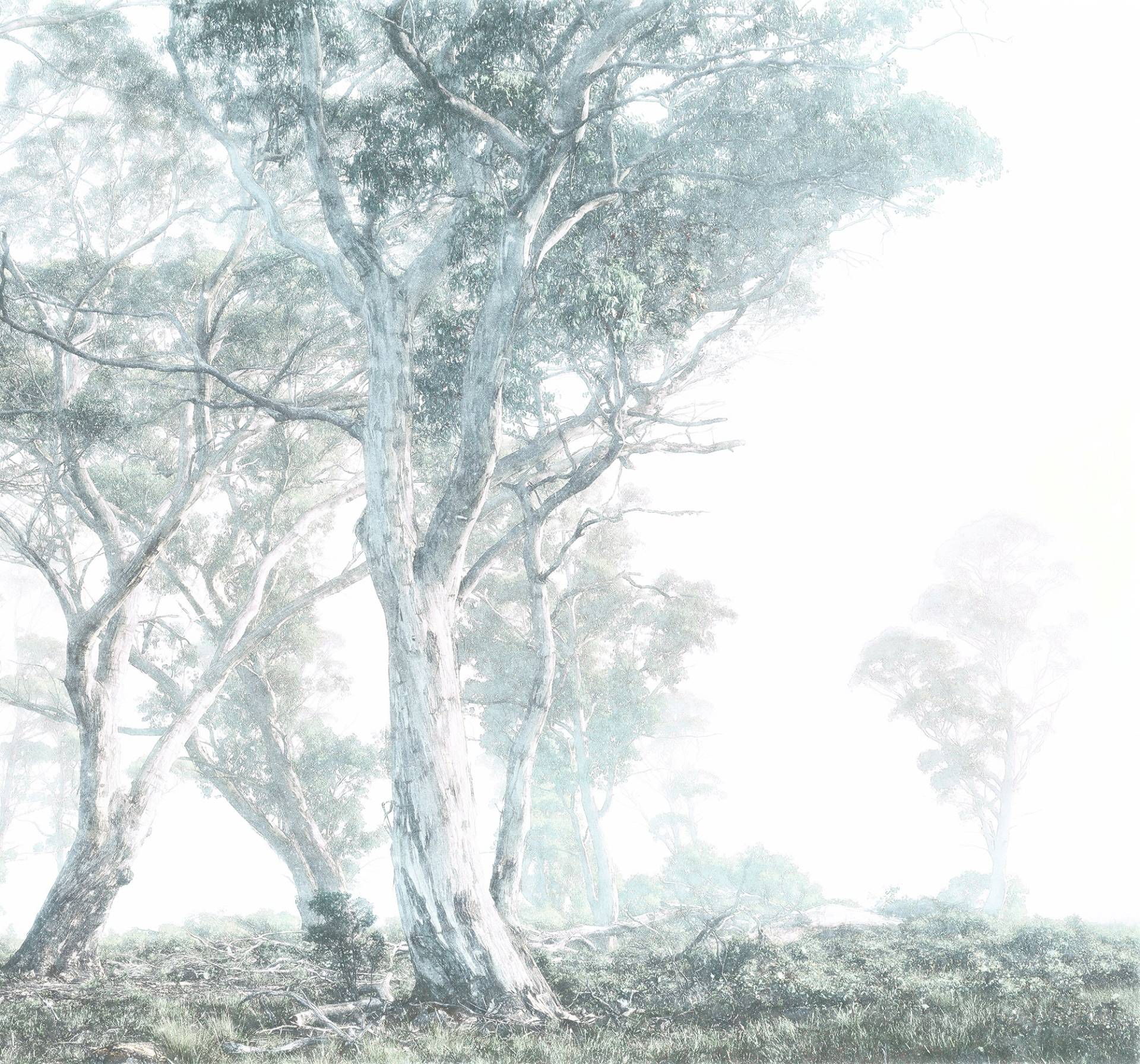 Komar Vliestapete »Digitaldruck Vlies - Magic Trees - Grösse 300 x 280 cm«, bedruckt, Wohnzimmer, Schlafzimmer Komar Vliestapete »Digitaldruck Vlies - Magic Trees - Grösse 300 x 280 cm«, bedruckt, Wohnzimmer, Schlafzimmer von Komar