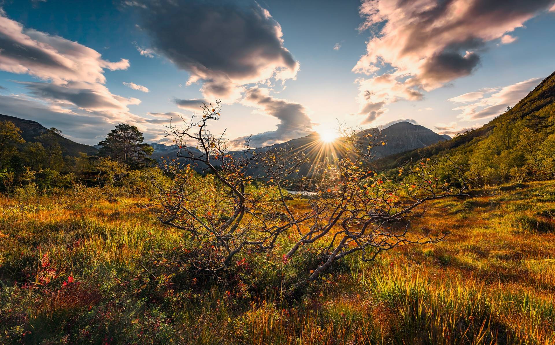 Komar Vliestapete »Norwegische Herbstwelten« von Komar