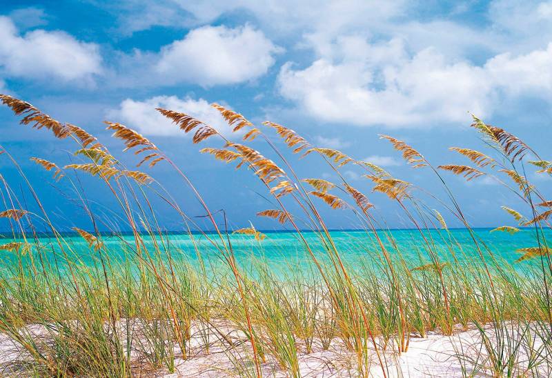 Komar Fototapete »Ocean Breeze - Grösse 368 x 254 cm«, bedruckt, Wohnzimmer, Schlafzimmer von Komar