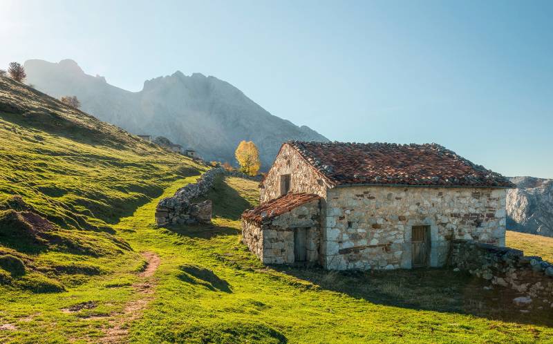 Komar Vliestapete »Digitaldruck Vlies - Picos de Europe Alm - Grösse 450 x 280 cm«, bedruckt, Wohnzimmer, Schlafzimmer von Komar