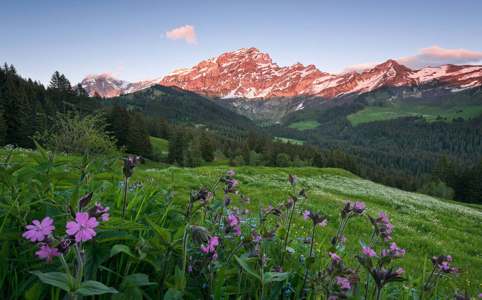 Komar Vliestapete »Digitaldruck Vlies - Picturesque Switzerland - Grösse 450 x 280 cm«, bedruckt, Wohnzimmer, Schlafzimmer Komar Vliestapete »Digitaldruck Vlies - Picturesque Switzerland - Grösse 450 x 280 cm«, bedruckt, Wohnzimmer, Schlafzimmer von Komar