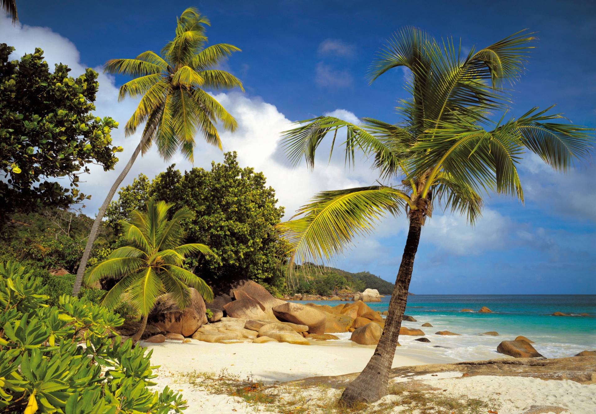 Komar Fototapete »Praslin«, bedruckt-Wald-geblümt von Komar